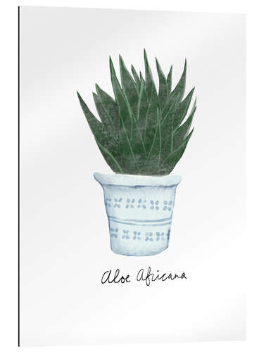 Gallery print Aloe africana