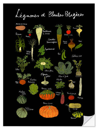 Wall sticker Vegetables black (French)