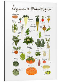 Magnettafel Gemüsearten (französisch)
