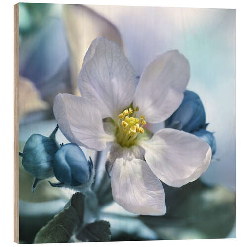 Hout print A flower in spring