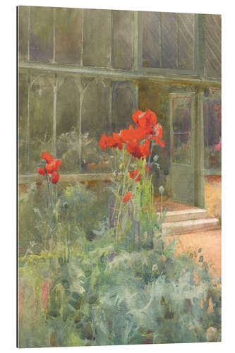 Gallery print Foxgloves, poppy