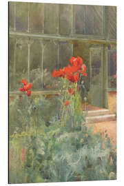 Magnettafel Foxgloves, Mohn