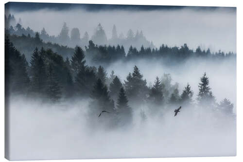 Leinwandbild Wald im Nebel