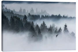 Canvas print Forest in the fog