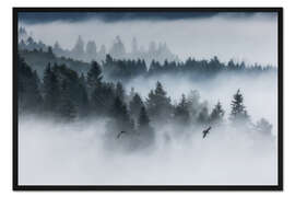 Gerahmter Kunstdruck Wald im Nebel