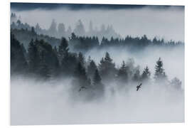 Foam board print Forest in the fog