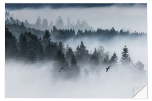 Sisustustarra Forest in the fog