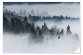 Selvklæbende plakat Forest in the fog