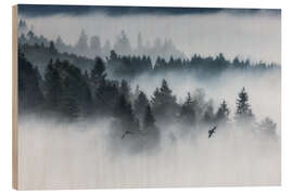 Trätavla Forest in the fog