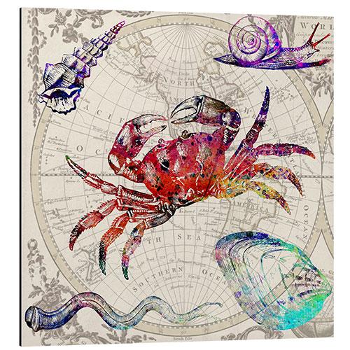 Tableau en aluminium Crabe vintage