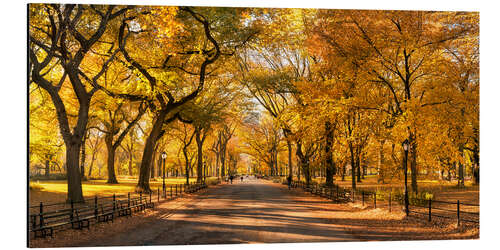 Cuadro de aluminio Central Park en Nueva York