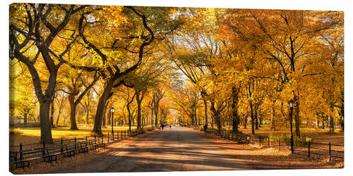 Leinwandbild Central Park in New York City