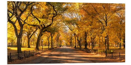 Hartschaumbild Central Park in New York City