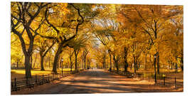 Foam board print Central Park in New York City