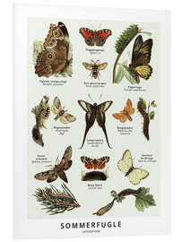 Foam board print Butterflies (Danish)