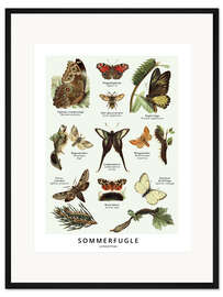 Gerahmter Kunstdruck Schmetterlinge (Dänisch)