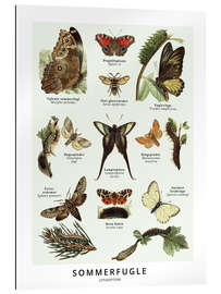 Gallery print Butterflies (Danish)