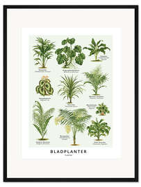 Gerahmter Kunstdruck Blattpflanzen (Dänisch)