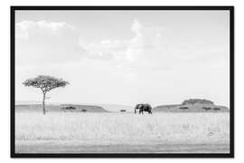 Gerahmter Kunstdruck High Key Savanne