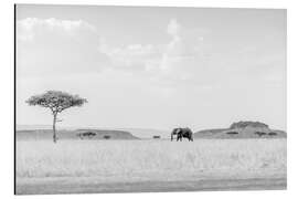 Magnettafel High Key Savanne