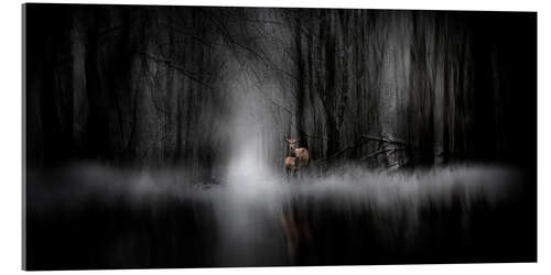 Acrylic print Deer & veal