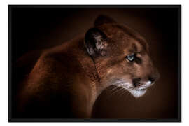 Gerahmter Kunstdruck Puma