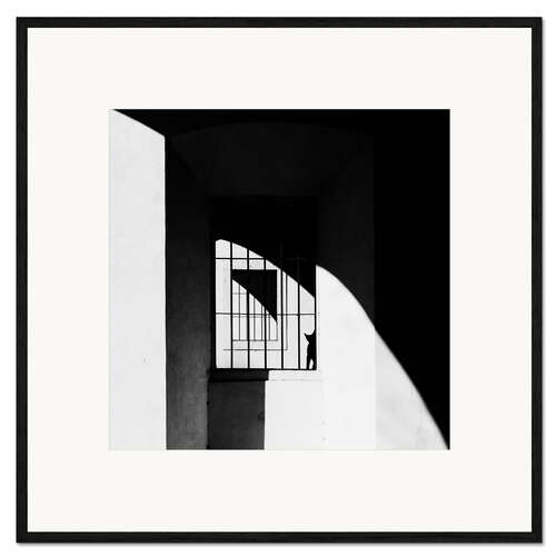 Framed art print The black cat