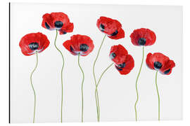 Magnettafel Marienkäfer Mohnblumen