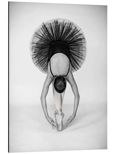 Aluminium print Ballet technique