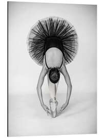 Aluminium print Ballet technique