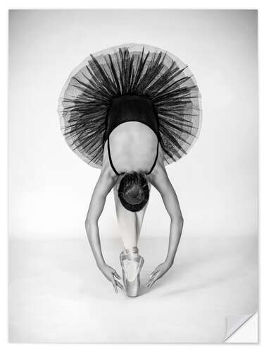 Vinilo para la pared La técnica del ballet