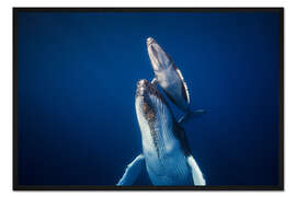 Gerahmter Kunstdruck Kommt zurück an die Oberfläche