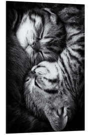 Magnettafel Yin und Yang