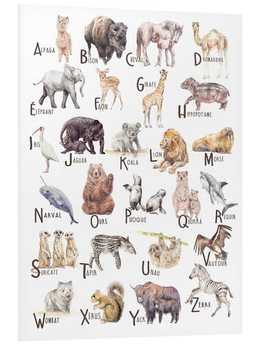 Foam board print Animal Alphabet (French)