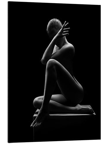 Aluminium print Abstract nude