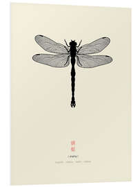 Foam board print Dragonfly