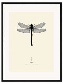 Gerahmter Kunstdruck Libelle - Thoth Adan