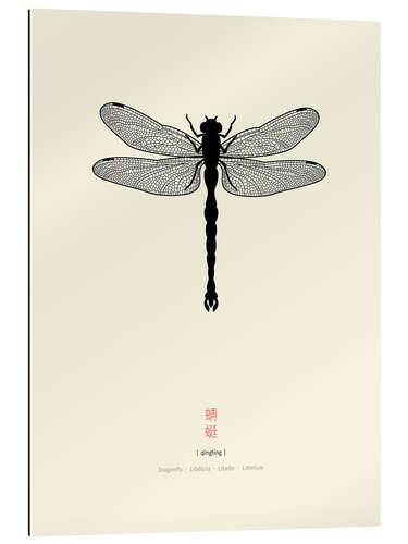 Gallery print Dragonfly