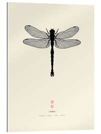 Gallery print Dragonfly