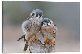 Canvas print Love birds