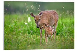 Aluminium print Tender moment