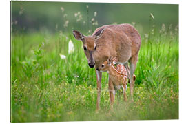 Gallery print Tender moment