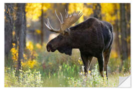 Naklejka na ścianę Royal moose