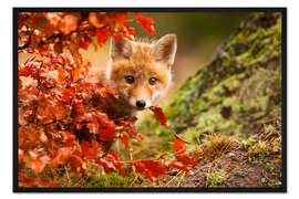 Gerahmter Kunstdruck Der Wald im Herbst