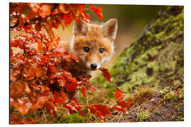 Magnettafel Der Wald im Herbst