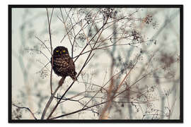 Gerahmter Kunstdruck Sieh mich an!