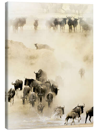 Canvastavla Swarming wildebeest