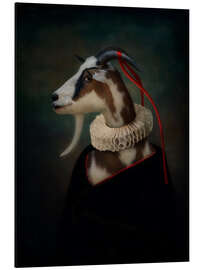 Aluminium print Portrait of a goat