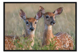 Gerahmter Kunstdruck Geschwister