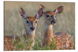 Magnettafel Geschwister